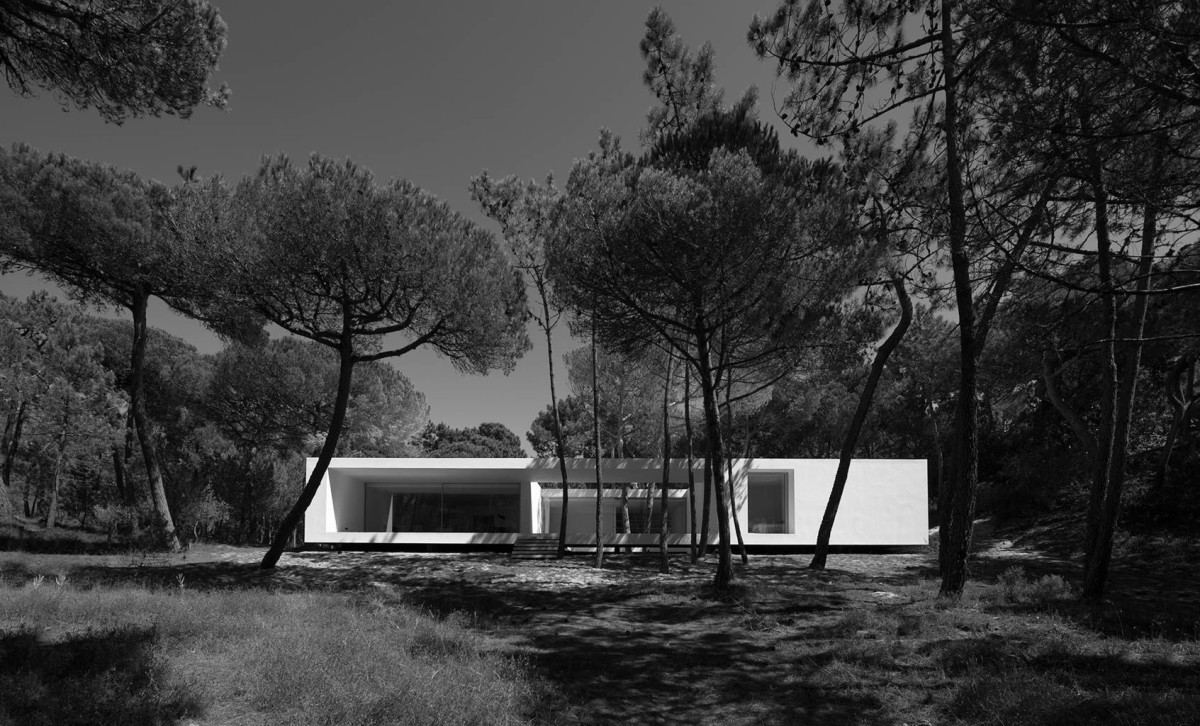 Frederico Valsassina . Summer home . COLARES  (1)