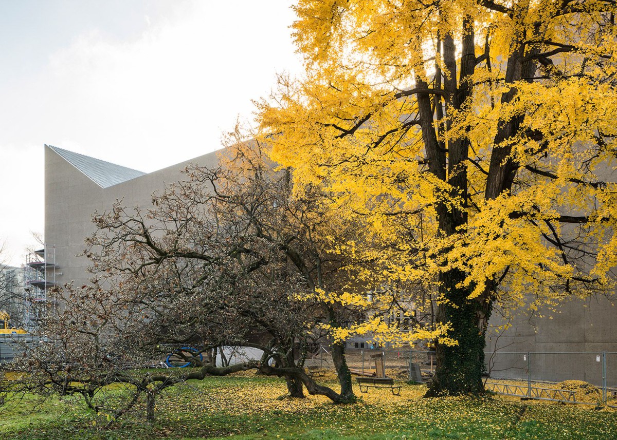 Christ & Gantenbein . Swiss National Museum Extension . Zurich (1)