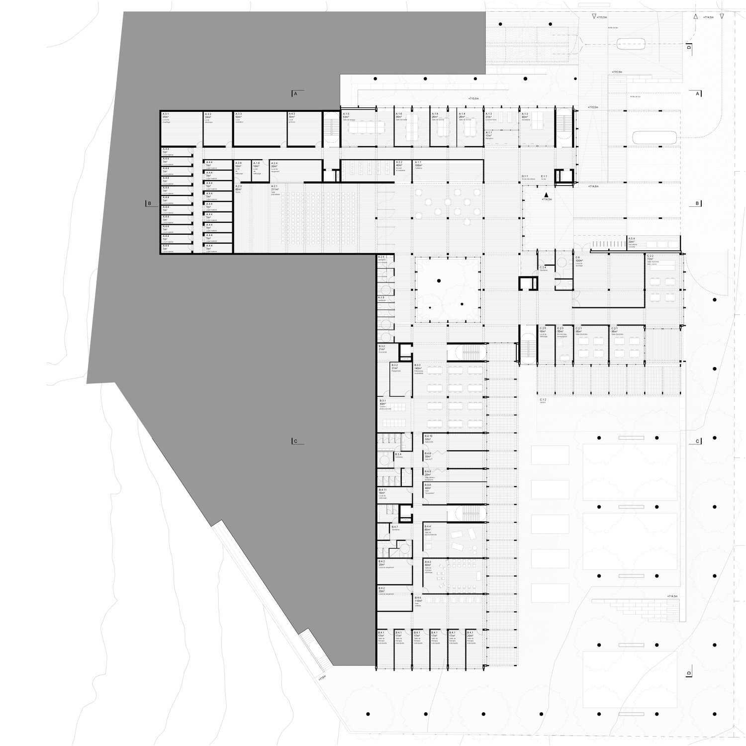 Aulets . Escuela Especial . Romont (10) | a f a s i a