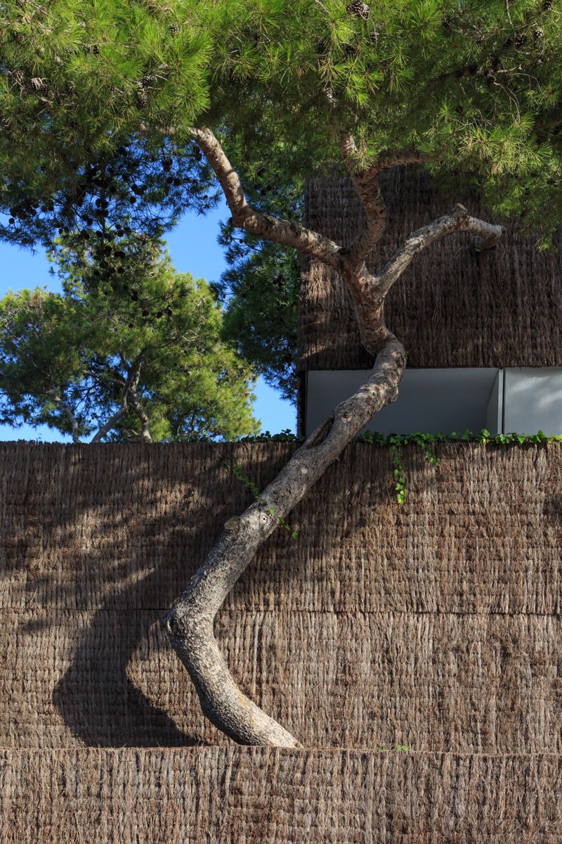 Jiménez Torrecillas . Single-family house . ROTA (3) – a f a s i a