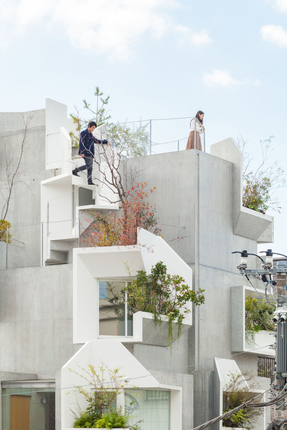 Akihisa Hirata . Tree-ness House . Toshima (3)