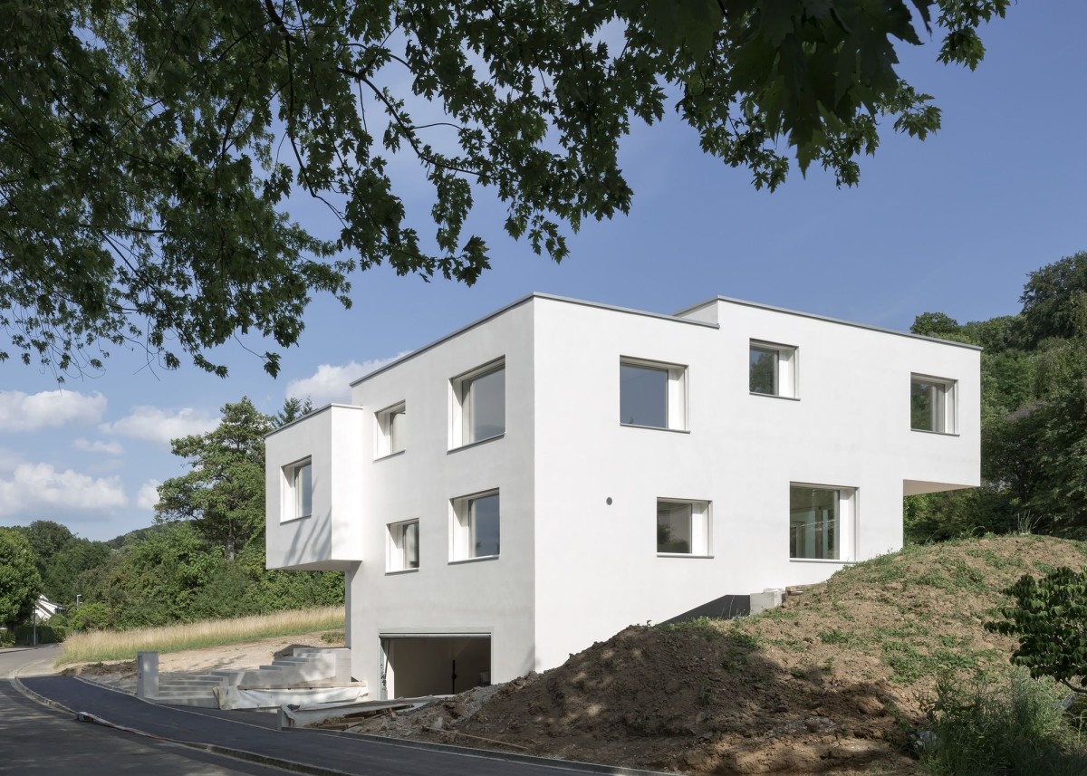 Luca Selva . House H . Riehen (1)