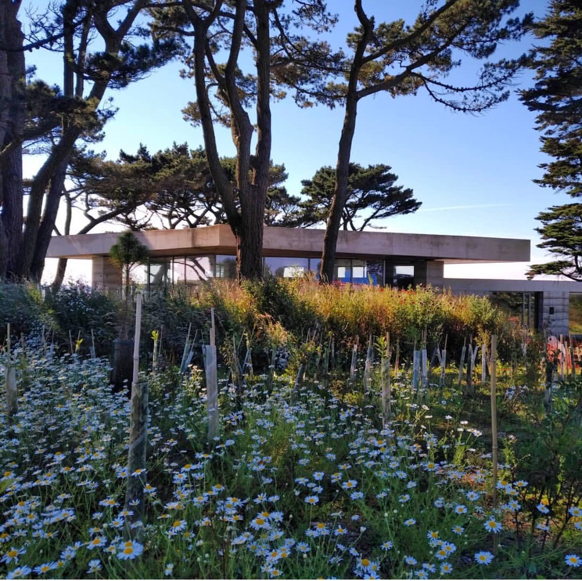 Peter Zumthor . Secular Retreat . Devon (1)