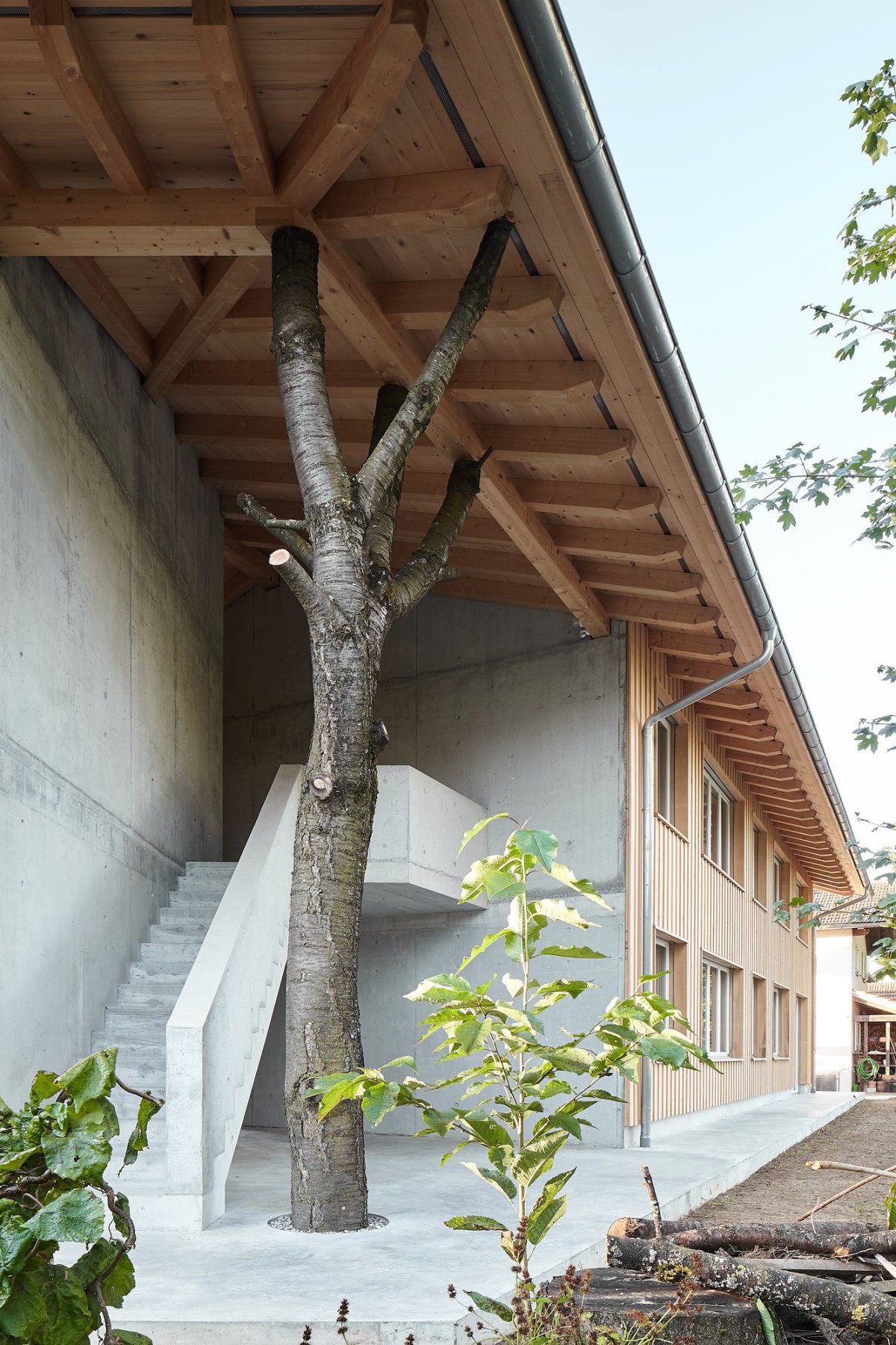 luna productions . Housing building . Deitingen afasia (4)