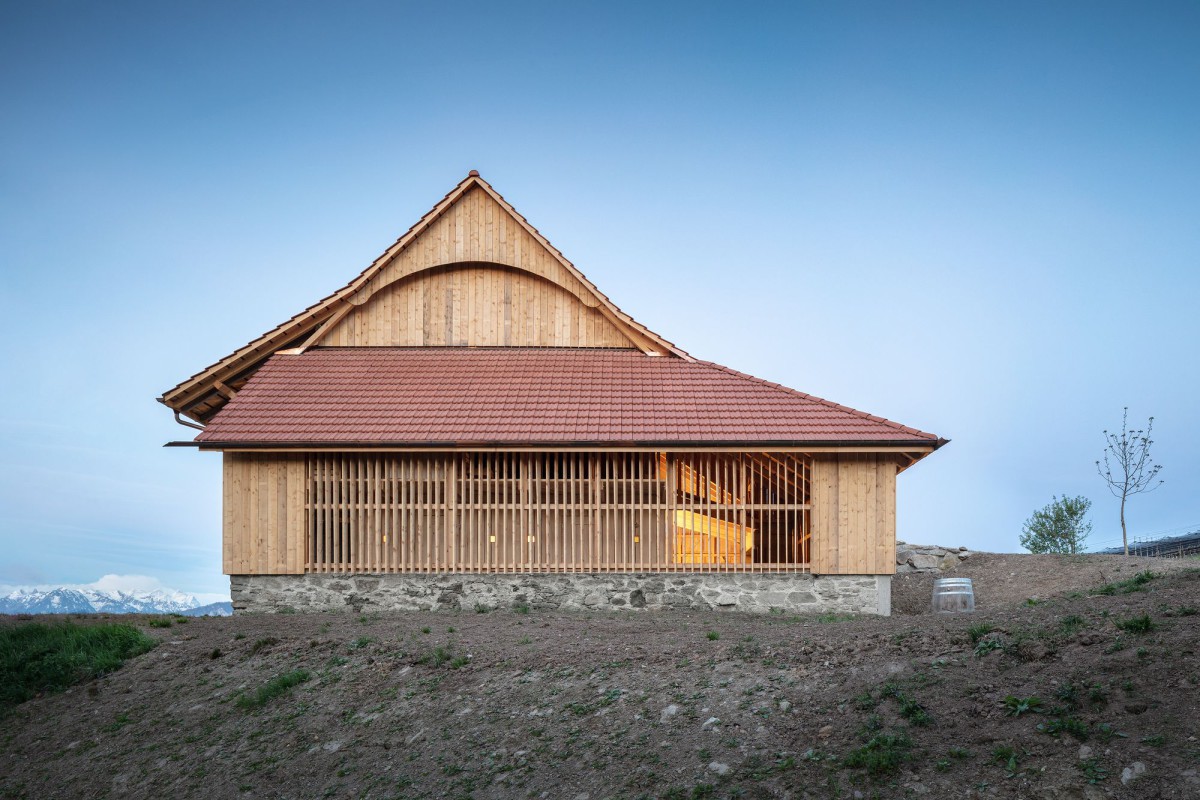 Roman Hutter . Weingut . Meggen afasia (1)