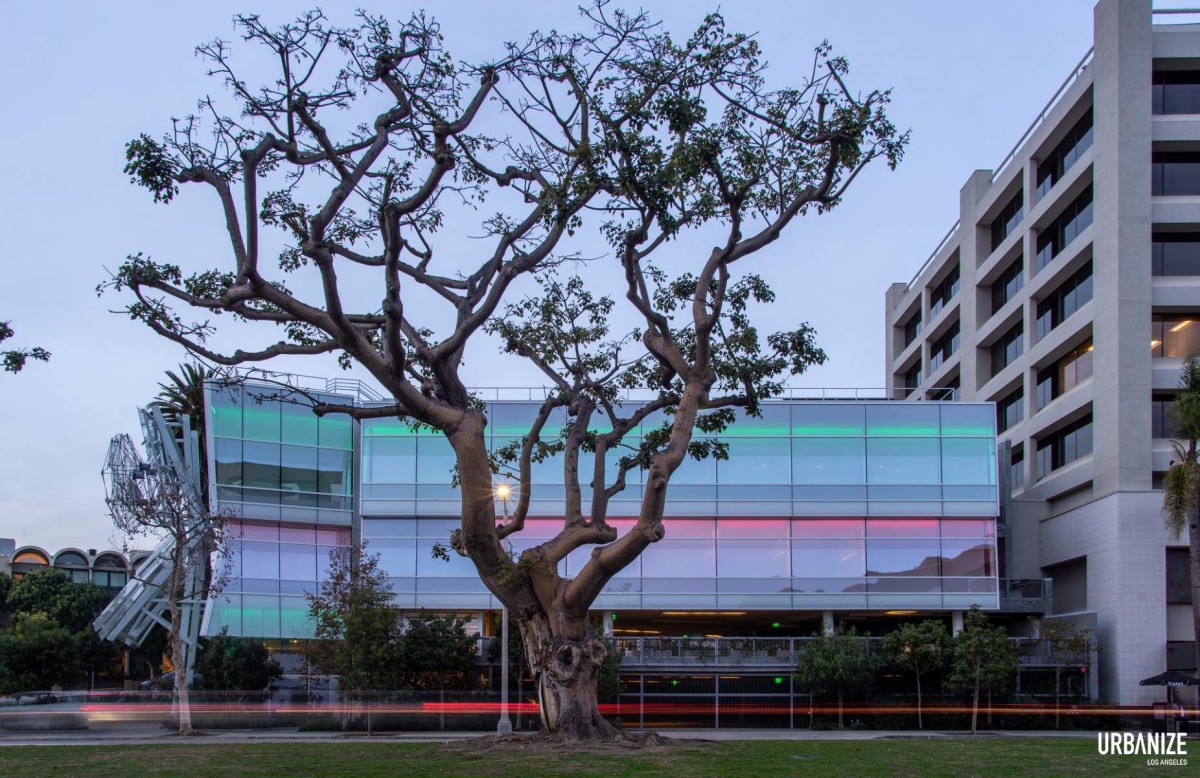 afasia Frank Gehry . Thomas Safran & Associates . Los Angeles (1)