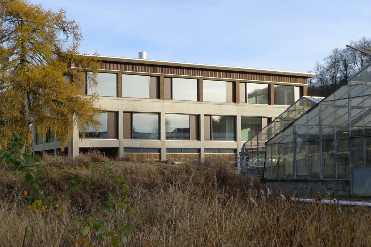 afasia jessenvollenweider . school extension . Mägenwil (1)