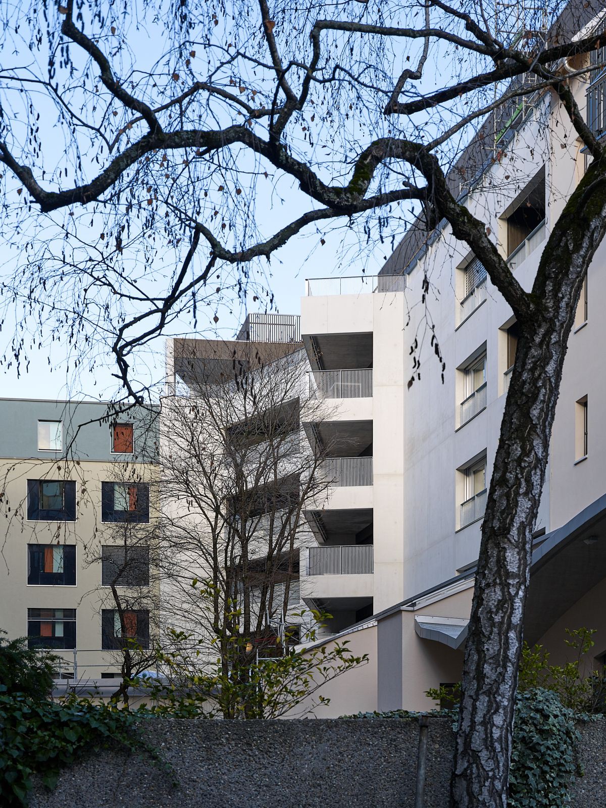 Luca Selva . New Building on Meret Oppenheim-Strasse . Basel Yohan ...