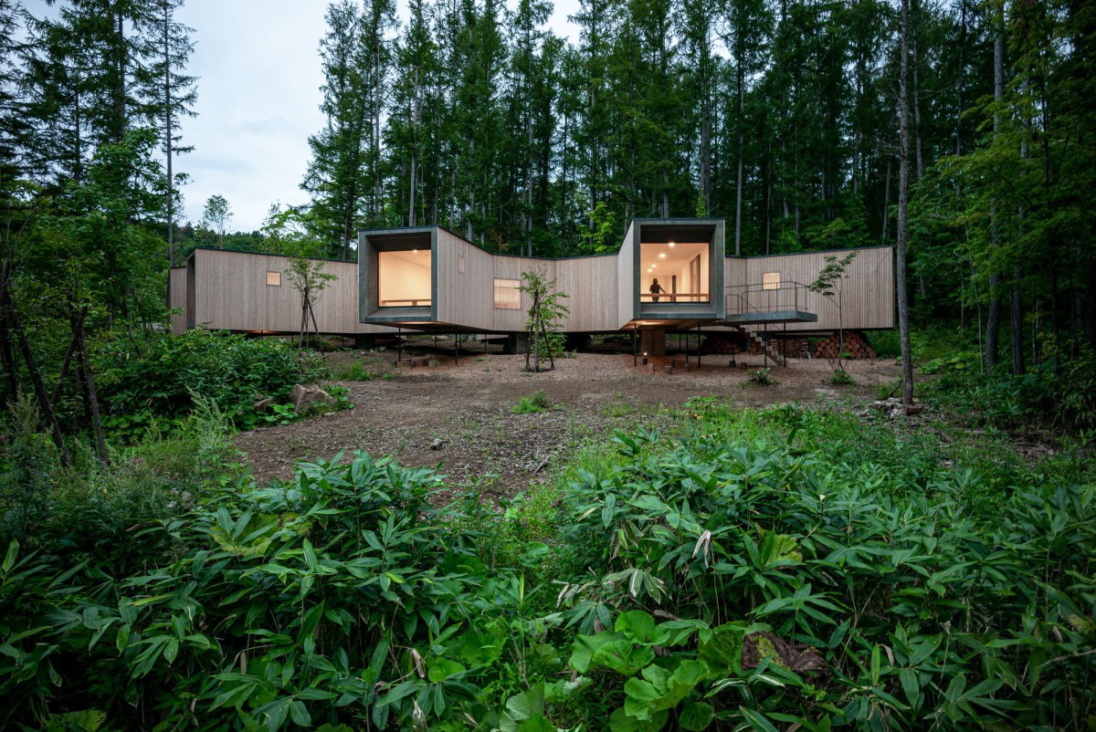 Florian Busch . House in the Forest . RANKOSHI afasia (1)