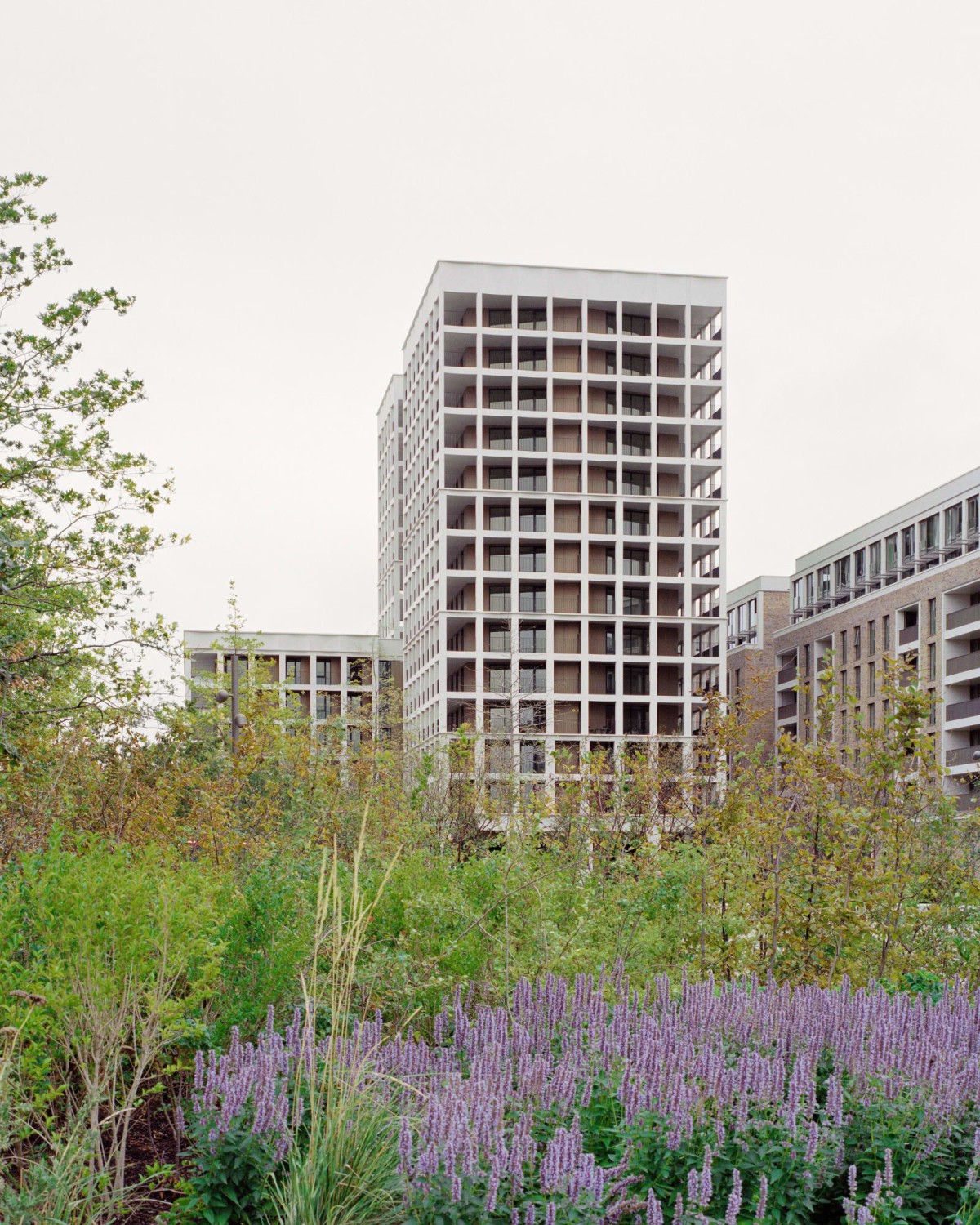 mæ LLP Architects .  Pinnacle House . LONDON Rory Gardiner  afasia (1)