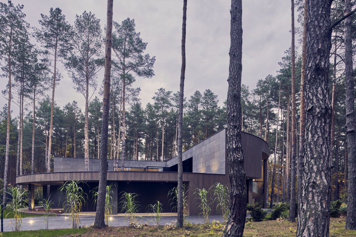 Mobius Architects . Circle Wood Paweł Ulatowski afasia (1)