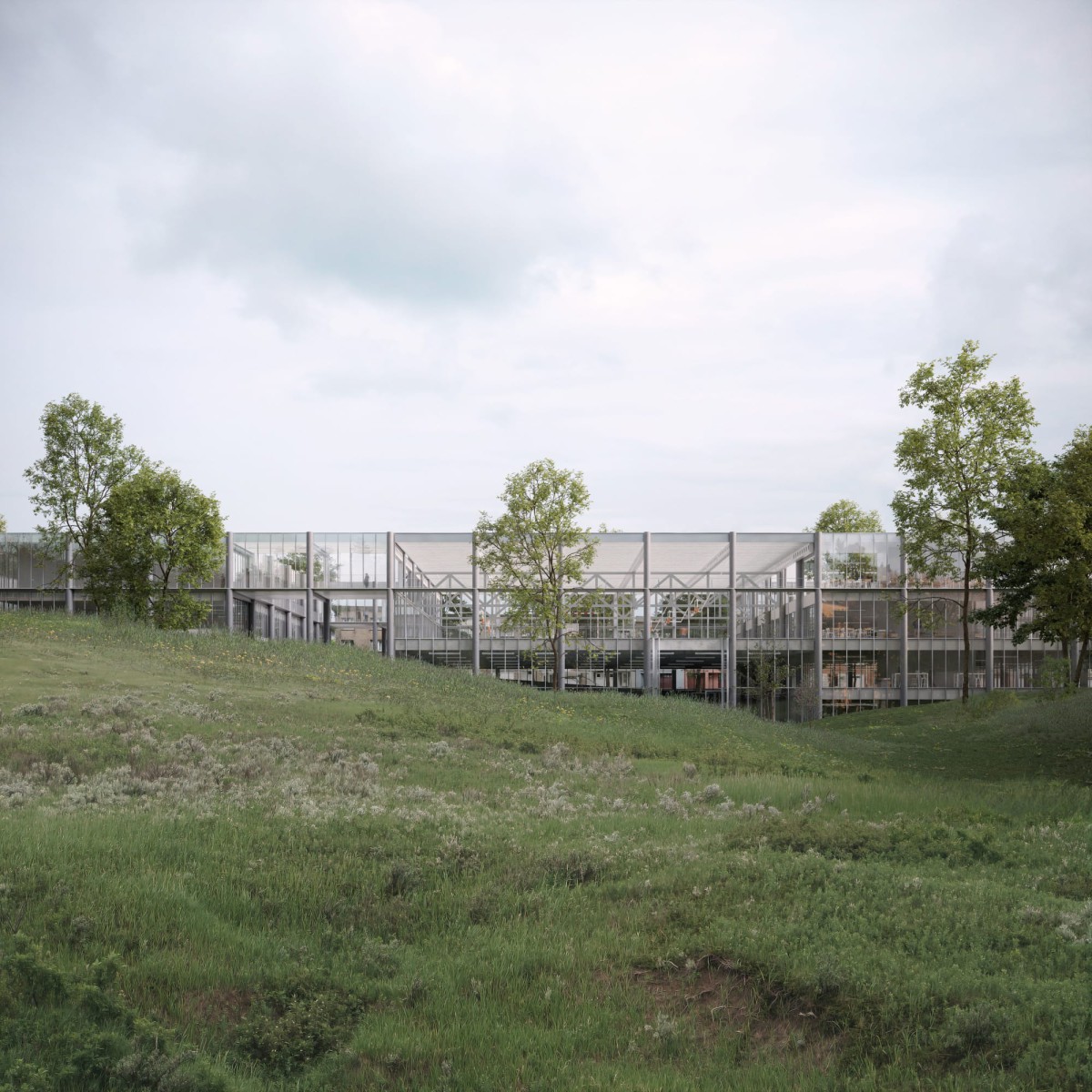 Muoto . Label . School and a sport center . Anderlecht afasia (1)