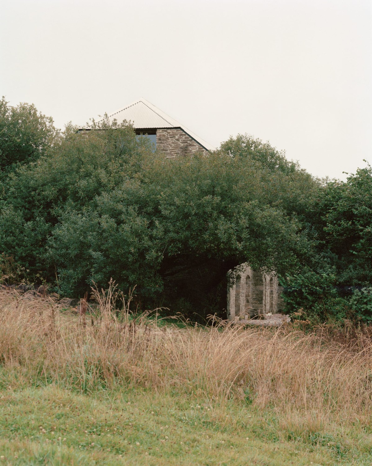 Type . REDHILL BARN . DEVON Rory Gardiner afasia (1)