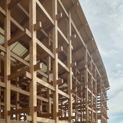 Sou Fujimoto . 2025 expo ring roof . osaka afasia (1)